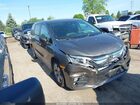2019 Honda Odyssey Ex Gray vin: 5FNRL6H5XKB125027