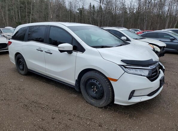 5FNRL6H62NB504469 2022 HONDA ODYSSEY White Front right