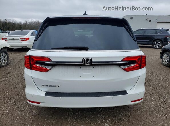 5FNRL6H62NB504469 2022 HONDA ODYSSEY White Rear view