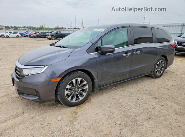 5FNRL6H62PB059072 2023 HONDA ODYSSEY Серый Передняя левая четверть