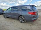 2024 Honda Odyssey Exl Серый vin: 5FNRL6H62RB001711