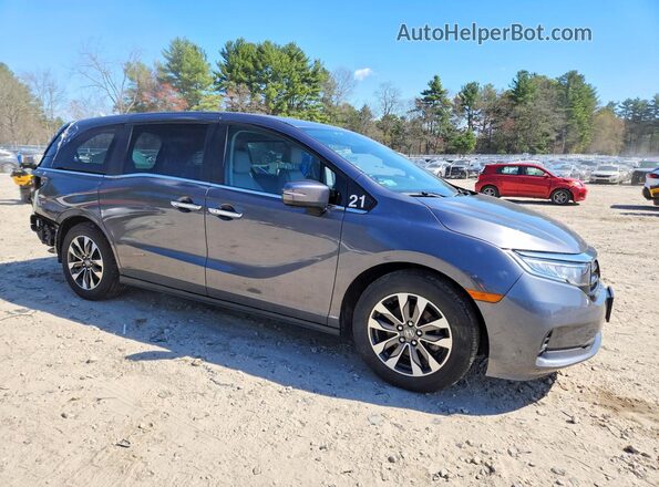 5FNRL6H62RB034031 2024 HONDA ODYSSEY Серый Передняя правая четверть