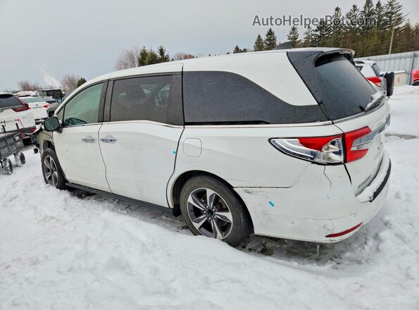 5FNRL6H64LB505541 2020 HONDA ODYSSEY White Tył lewy