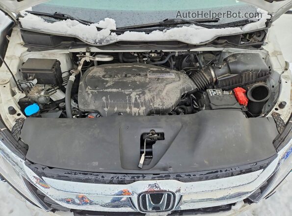 5FNRL6H64LB505541 2020 HONDA ODYSSEY White Widok komory silnika