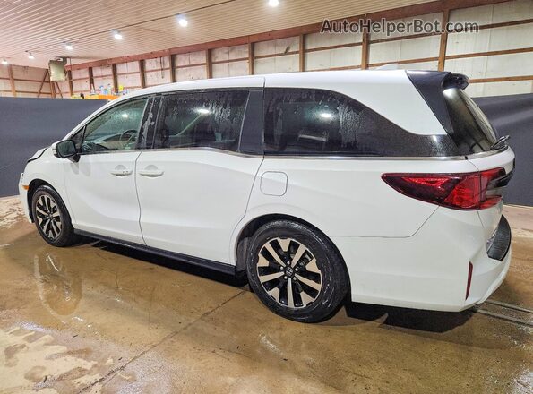 5FNRL6H64SB057171 2025 HONDA ODYSSEY White Задня ліва чверть