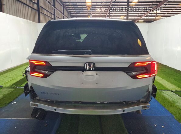 5FNRL6H66SB056460 2025 HONDA ODYSSEY Silver Вид ззаду