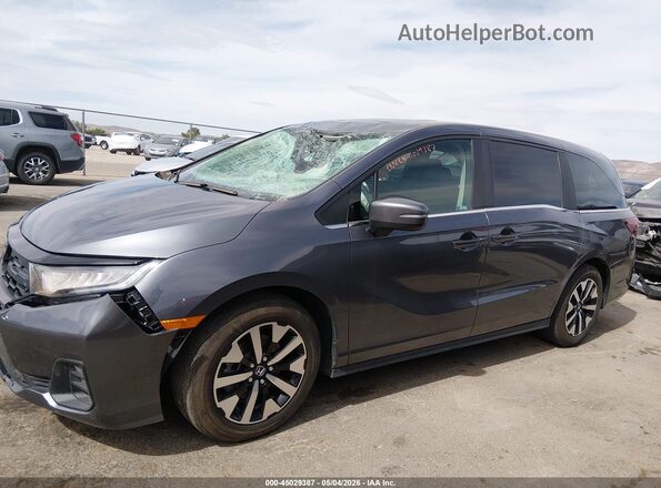 5FNRL6H67SB074000 2025 HONDA ODYSSEY Серый Панорамный вид салона 360°