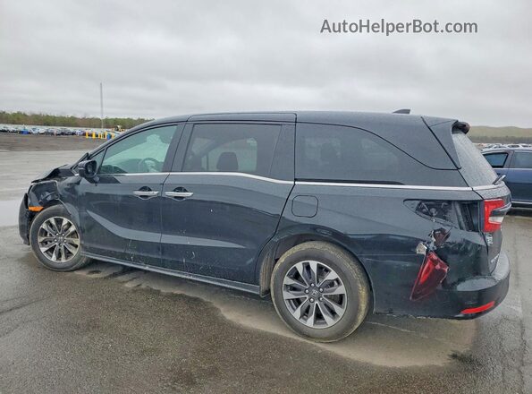 5FNRL6H68RB074730 2024 HONDA ODYSSEY Черный Задняя левая четверть