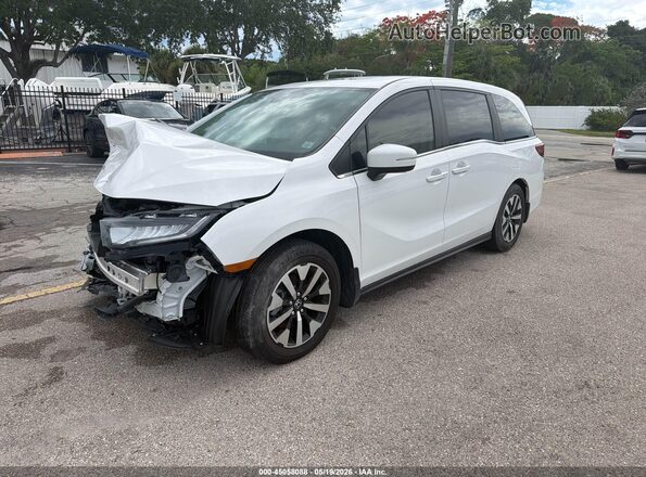 5FNRL6H68SB075270 2025 HONDA ODYSSEY  Передняя левая четверть