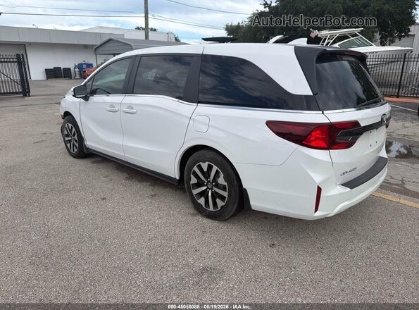5FNRL6H68SB075270 2025 HONDA ODYSSEY  Задняя левая четверть