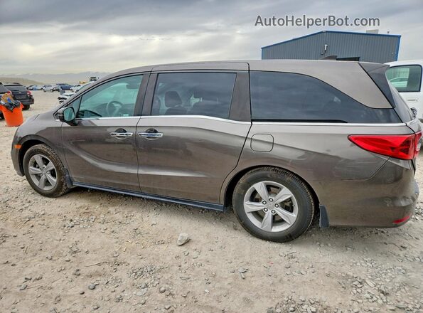 5FNRL6H70KB099247 2019 HONDA ODYSSEY Gray Trasero izquierdo