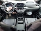 2024 Honda Odyssey Sport Темно-бордовый vin: 5FNRL6H70RB013087