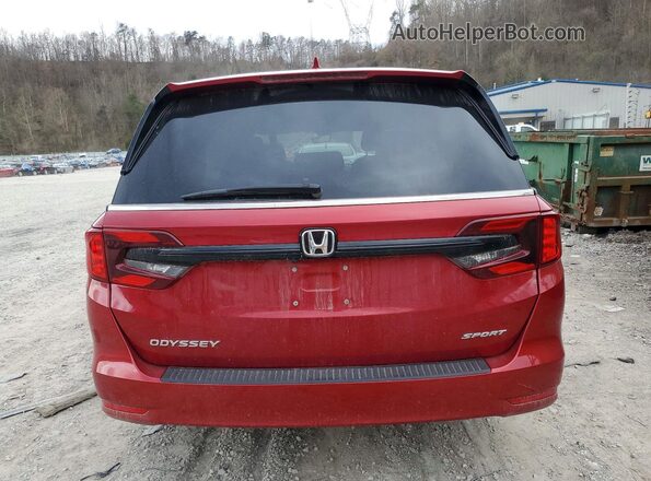 5FNRL6H70RB013087 2024 HONDA ODYSSEY Темно-бордовый Вид сзади