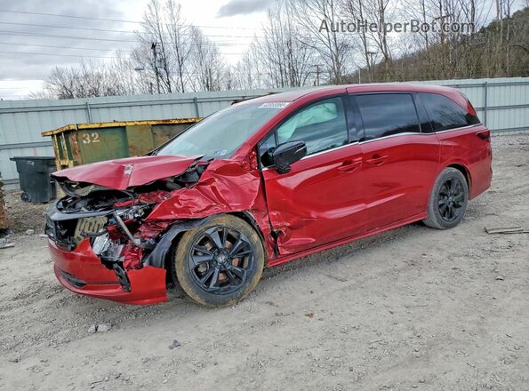5FNRL6H70RB013087 2024 HONDA ODYSSEY Темно-бордовый Передняя левая четверть