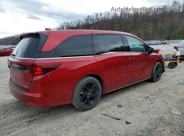 5FNRL6H70RB013087 2024 HONDA ODYSSEY Темно-бордовый Задняя правая четверть