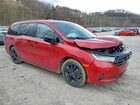 2024 Honda Odyssey Sport Темно-бордовый vin: 5FNRL6H70RB013087