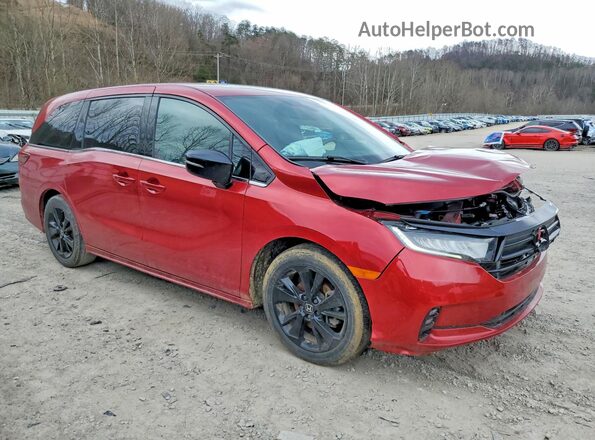 5FNRL6H70RB013087 2024 HONDA ODYSSEY Темно-бордовый Передняя правая четверть