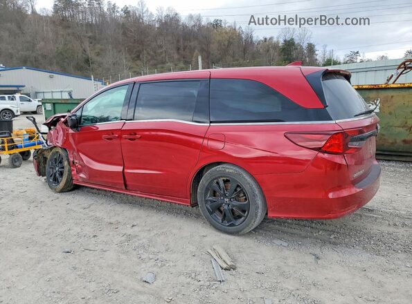 5FNRL6H70RB013087 2024 HONDA ODYSSEY Темно-бордовый Задняя левая четверть