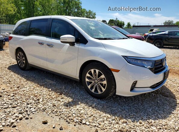 5FNRL6H71MB041277 2021 HONDA ODYSSEY White Przód prawy