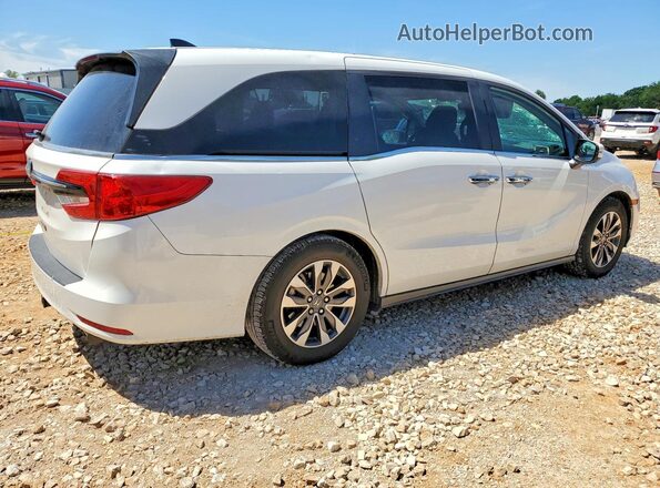 5FNRL6H71MB041277 2021 HONDA ODYSSEY White Tył prawy