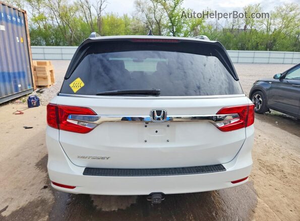5FNRL6H72LB046535 2020 HONDA ODYSSEY Белый Вид сзади