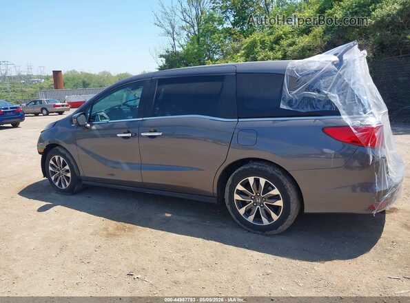 5FNRL6H72NB059983 2022 HONDA ODYSSEY Gray სალონის 360-გრადუსიანი ხედი