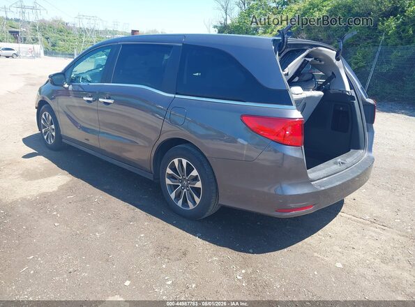 5FNRL6H72NB059983 2022 HONDA ODYSSEY Gray უკანა მარცხენა