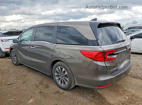 5FNRL6H73NB011828 2022 HONDA ODYSSEY Gray Задня ліва чверть