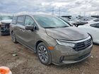 2022 Honda Odyssey Exl Gray vin: 5FNRL6H73NB011828