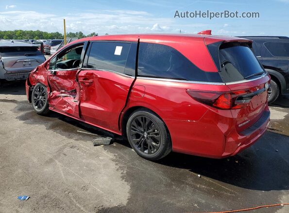 5FNRL6H74SB055932 2025 HONDA ODYSSEY Красный Задняя левая четверть