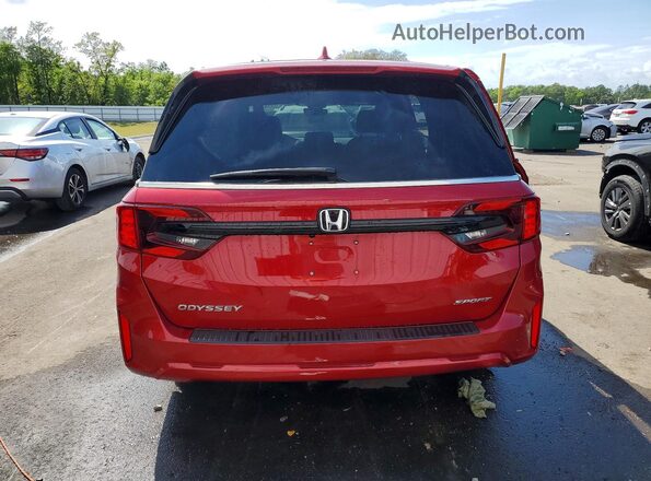 5FNRL6H74SB055932 2025 HONDA ODYSSEY Красный Вид сзади
