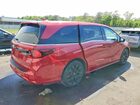 2025 Honda Odyssey Sport-l Красный vin: 5FNRL6H74SB055932
