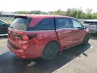 2025 Honda Odyssey Sport-l Красный vin: 5FNRL6H74SB055932 Damage: Right Rear Door, Misaligned, Repair Required