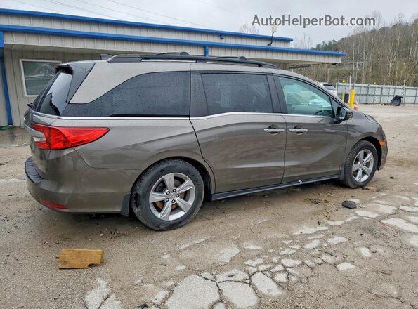 5FNRL6H75JB049295 2018 HONDA ODYSSEY Серый Задняя правая четверть
