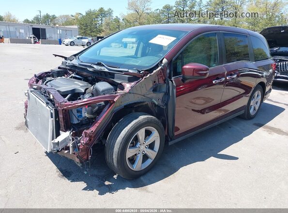 5FNRL6H75LB006448 2020 HONDA ODYSSEY Бордовый Передняя левая четверть