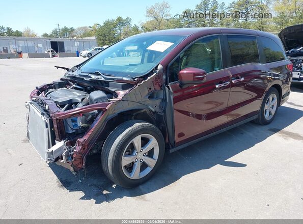 5FNRL6H75LB006448 2020 HONDA ODYSSEY Бордовый Вид спереди