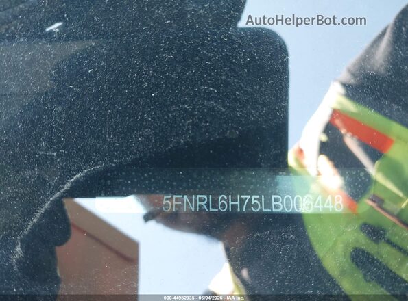 5FNRL6H75LB006448 2020 HONDA ODYSSEY Бордовый 
