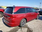 2021 Honda Odyssey Exl Red vin: 5FNRL6H75MB041024