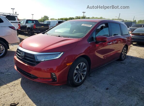 5FNRL6H75MB041024 2021 HONDA ODYSSEY Red Передня ліва чверть