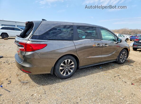 5FNRL6H75NB050517 2022 HONDA ODYSSEY Charcoal Rear right