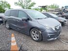 2019 Honda Odyssey Ex-l Gray vin: 5FNRL6H76KB099690