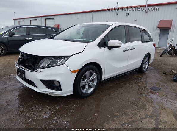 5FNRL6H76LB056825 2020 HONDA ODYSSEY Белый Передняя левая четверть