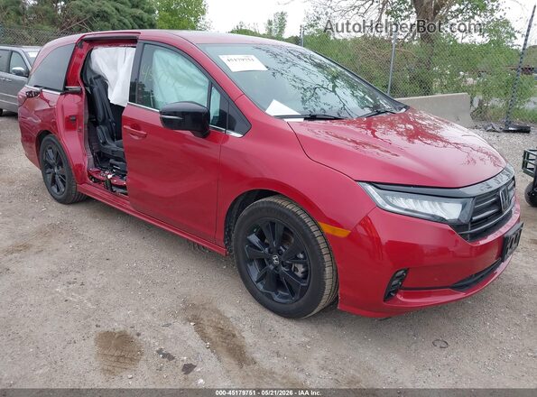 5FNRL6H76RB026149 2024 HONDA ODYSSEY Red Front right
