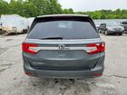 2019 Honda Odyssey Exl Green vin: 5FNRL6H77KB051874