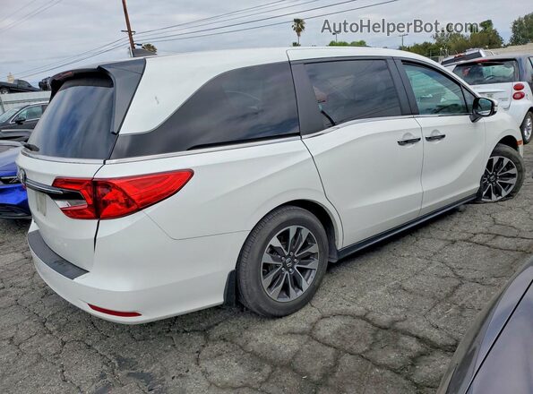 5FNRL6H77NB068050 2022 HONDA ODYSSEY White Rear right