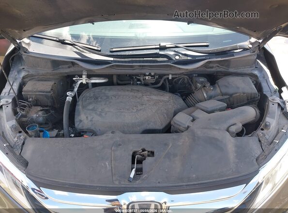 5FNRL6H79JB011634 2018 HONDA ODYSSEY Серый Вид сзади