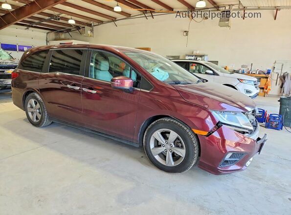 5FNRL6H79LB015248 2020 HONDA ODYSSEY Burgundy Przód prawy