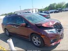 2019 Honda Odyssey Ex-l Red vin: 5FNRL6H7XKB002524