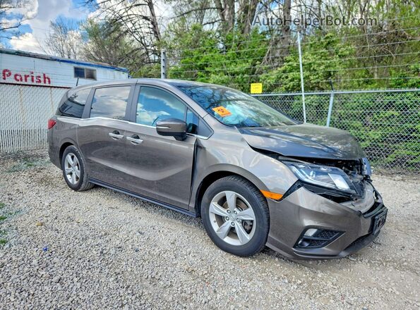 5FNRL6H7XKB023907 2019 HONDA ODYSSEY Серый Передняя правая четверть