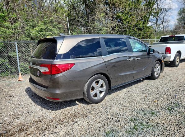 5FNRL6H7XKB023907 2019 HONDA ODYSSEY Серый Задняя правая четверть